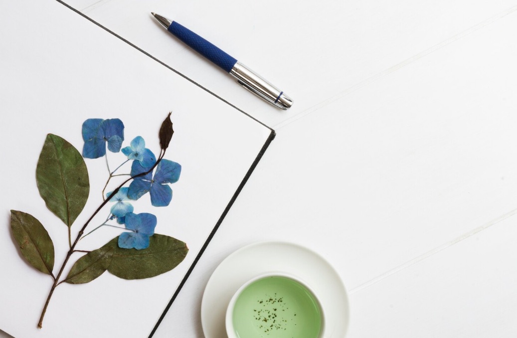 Schritt 1 - Erkundung